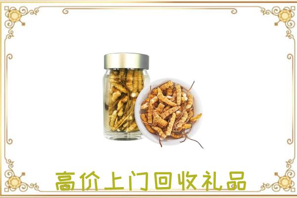 嘉峪关周边回收虫草